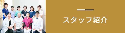 スタッフ紹介